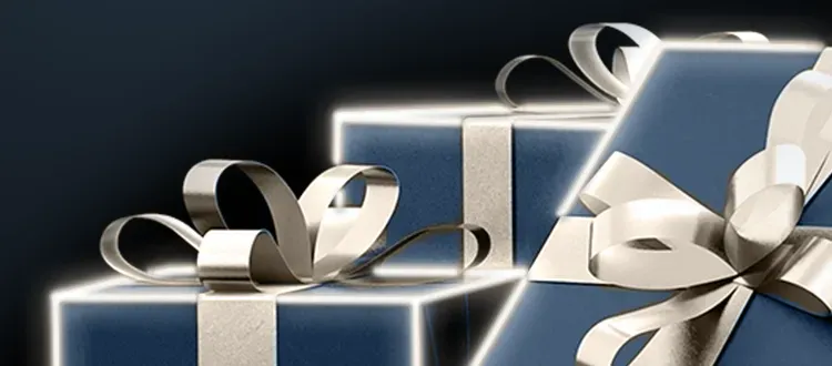 bCasino online casino